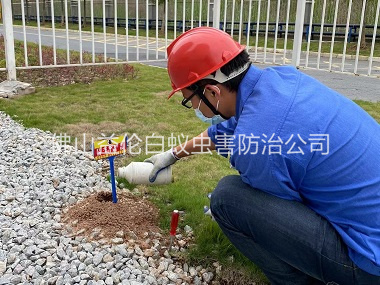 三水红火蚁防治工程